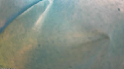 2025-06-01