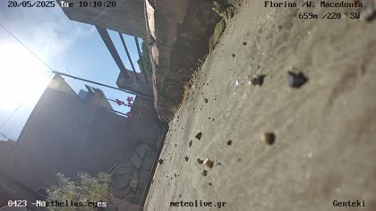 2025-07-10
