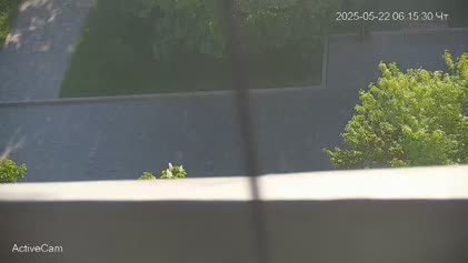 2025-05-22