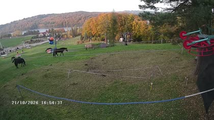 2026-10-21
