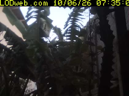 2026-10-06