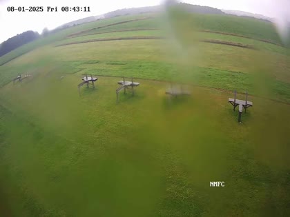 2025-08-01