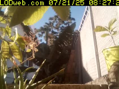 2025-07-21