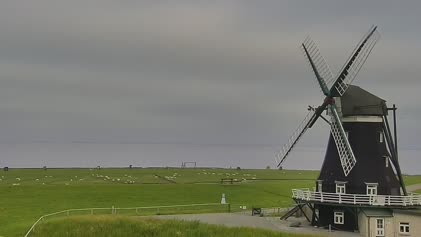 2025-05-31