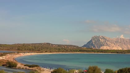 2026-09-25