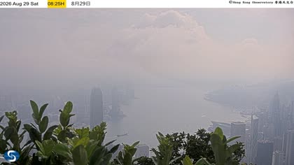 2026-08-29