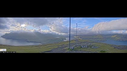 2025-08-29