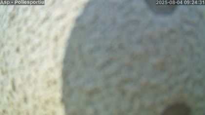 2025-08-04