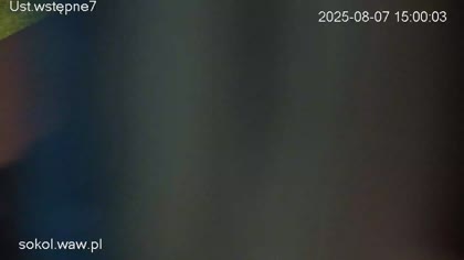 2025-08-07