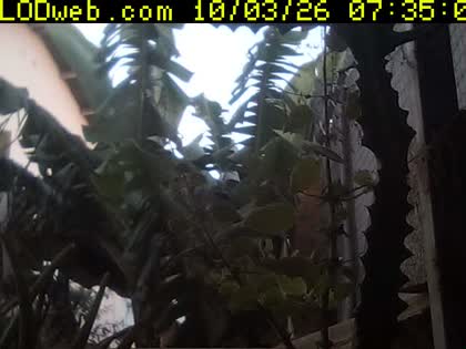 2026-10-03