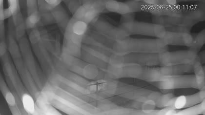 2025-08-25