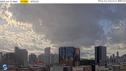 2025-06-11