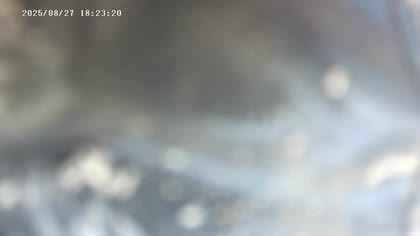 2025-08-27