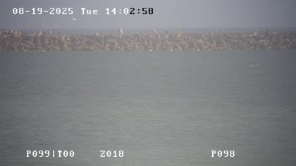 2025-08-20