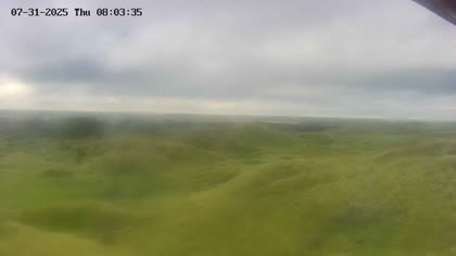 2025-07-31