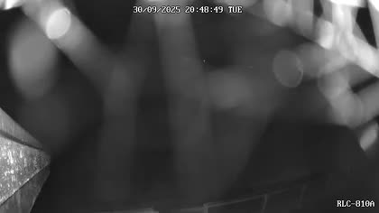 2025-10-01