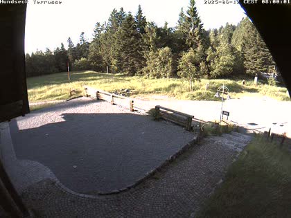 2025-06-12