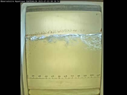 2025-07-03
