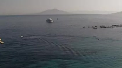 2026-08-14