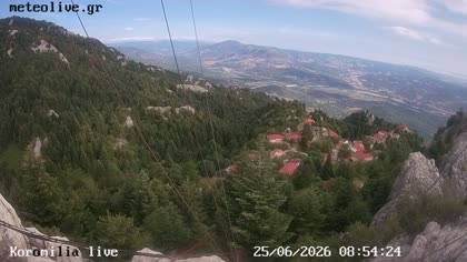 2026-06-25