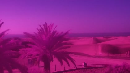 2026-06-04