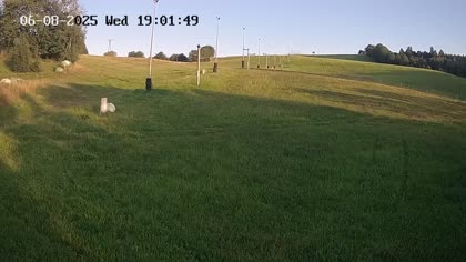 2025-08-06