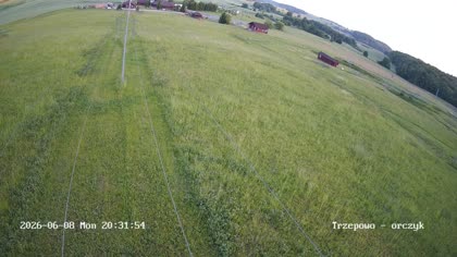 2026-06-08