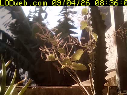 2026-09-04