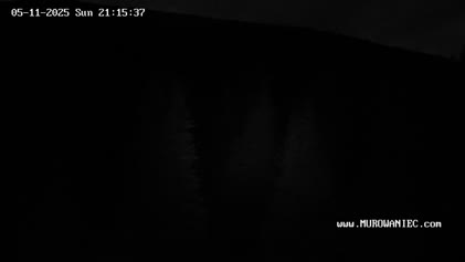 2025-05-11