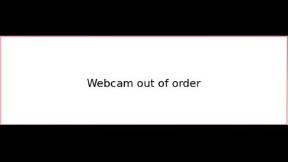 2025-10-08