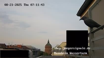 2025-08-21
