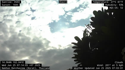 2025-06-25
