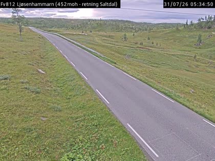 2026-07-31