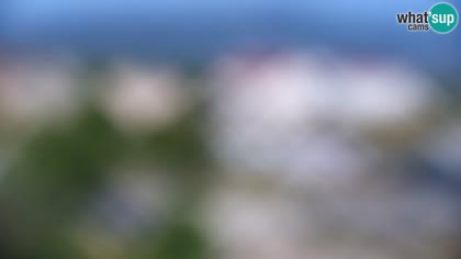 2026-07-11