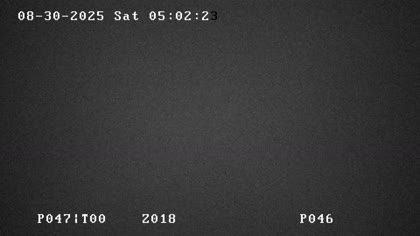 2025-08-31