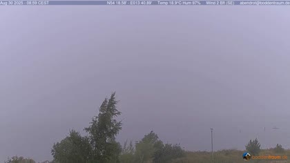 2025-08-31