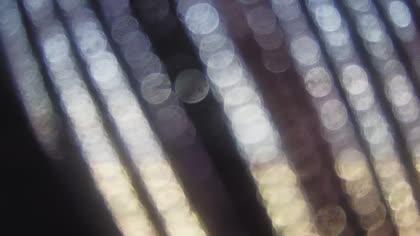 2026-06-10