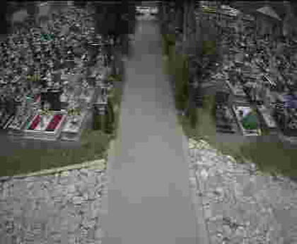 2025-08-05