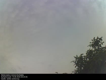 2026-08-19