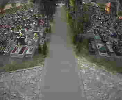 2025-07-04