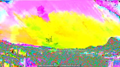2025-08-23