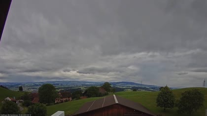 2026-06-03