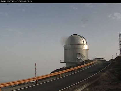 2025-08-12