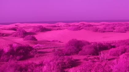 2025-08-20
