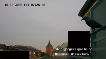 2025-10-10
