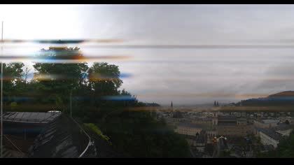 2025-07-29