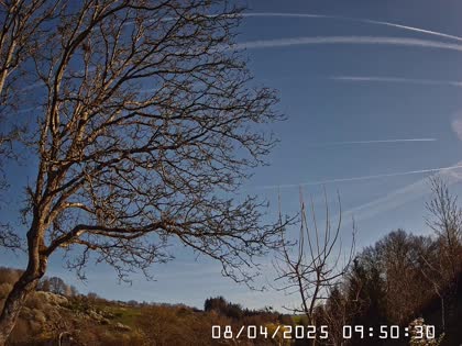 2025-04-08