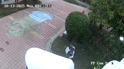 2025-10-13