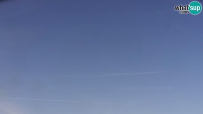 2026-05-25