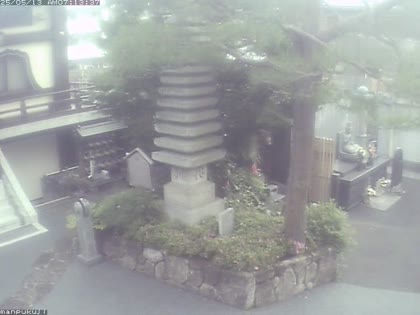 2025-05-12